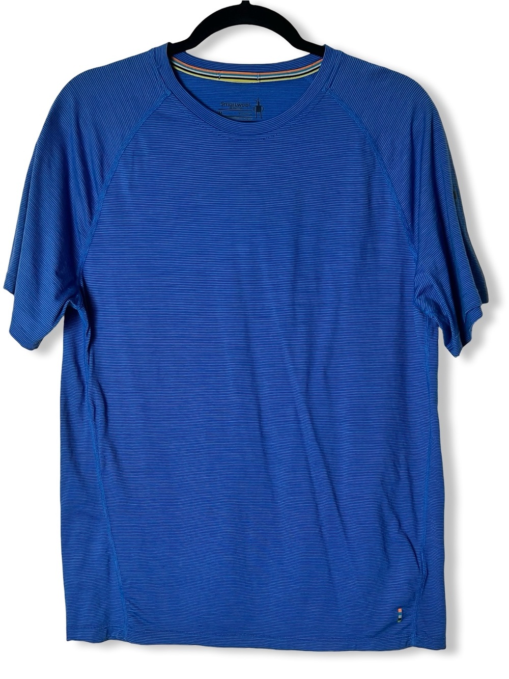 Smartwool Mens Merino 150 Base Layer Micro Stripe Short Sleeve Tee Blue Sz. M